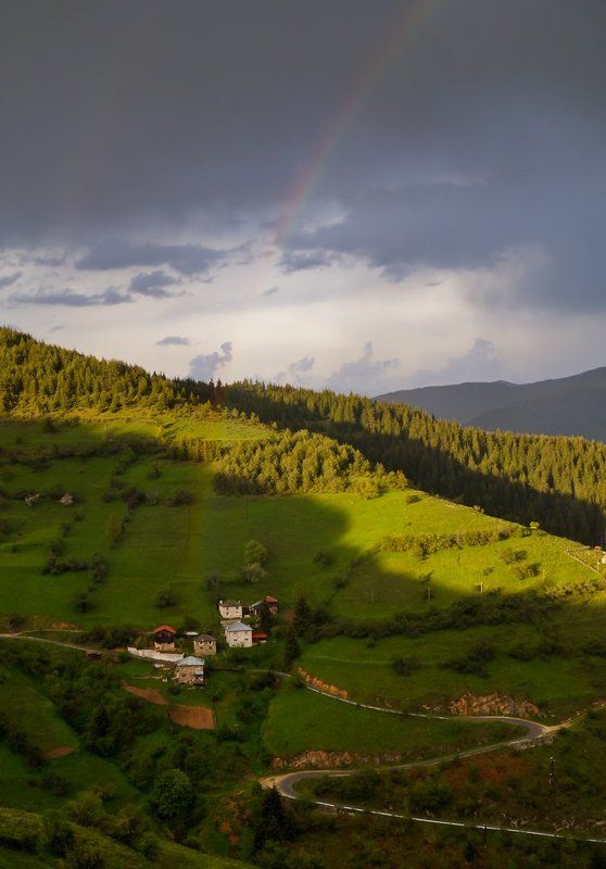 Under the rainbow фото превью