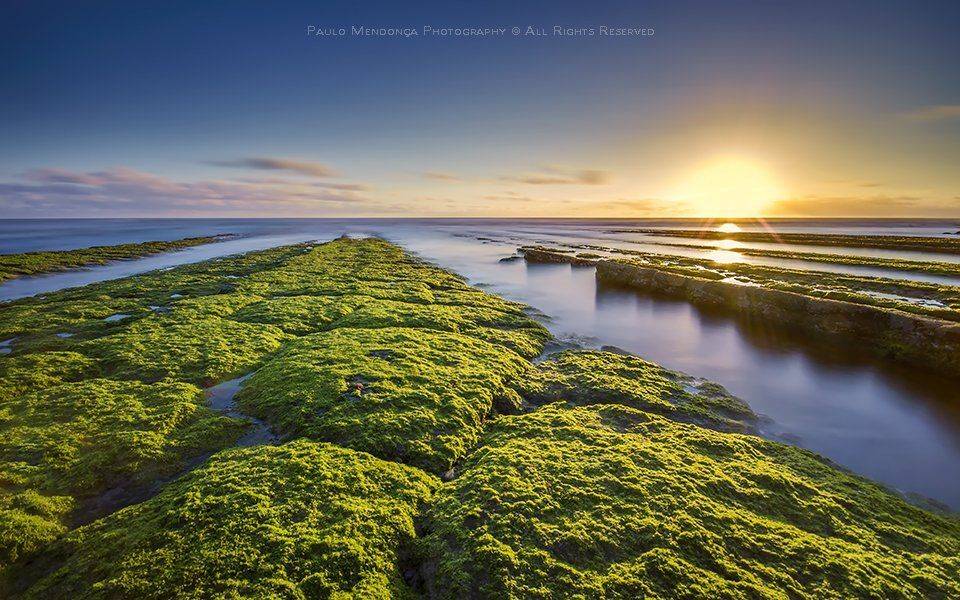 , Paulo Mendon&ccedil;a