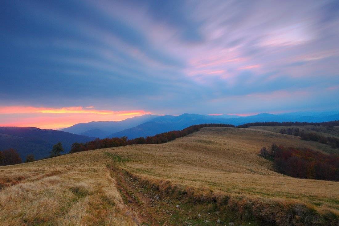 , Ярослав Тюрменко (Jaremi)