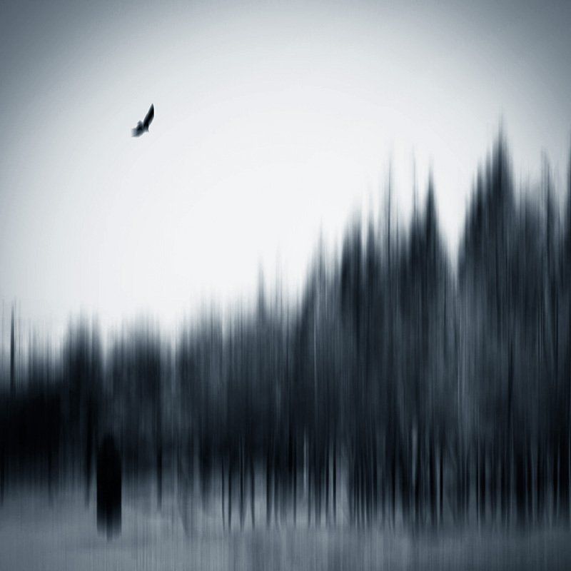 concept, Conceptual, Fade, Fineart, Milad safabakhsh, Square, Woman I barely remember you фото превью