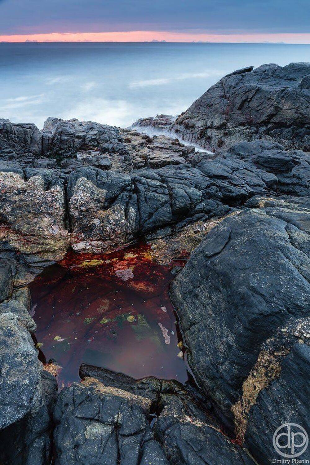 , Питенин Дмитрий