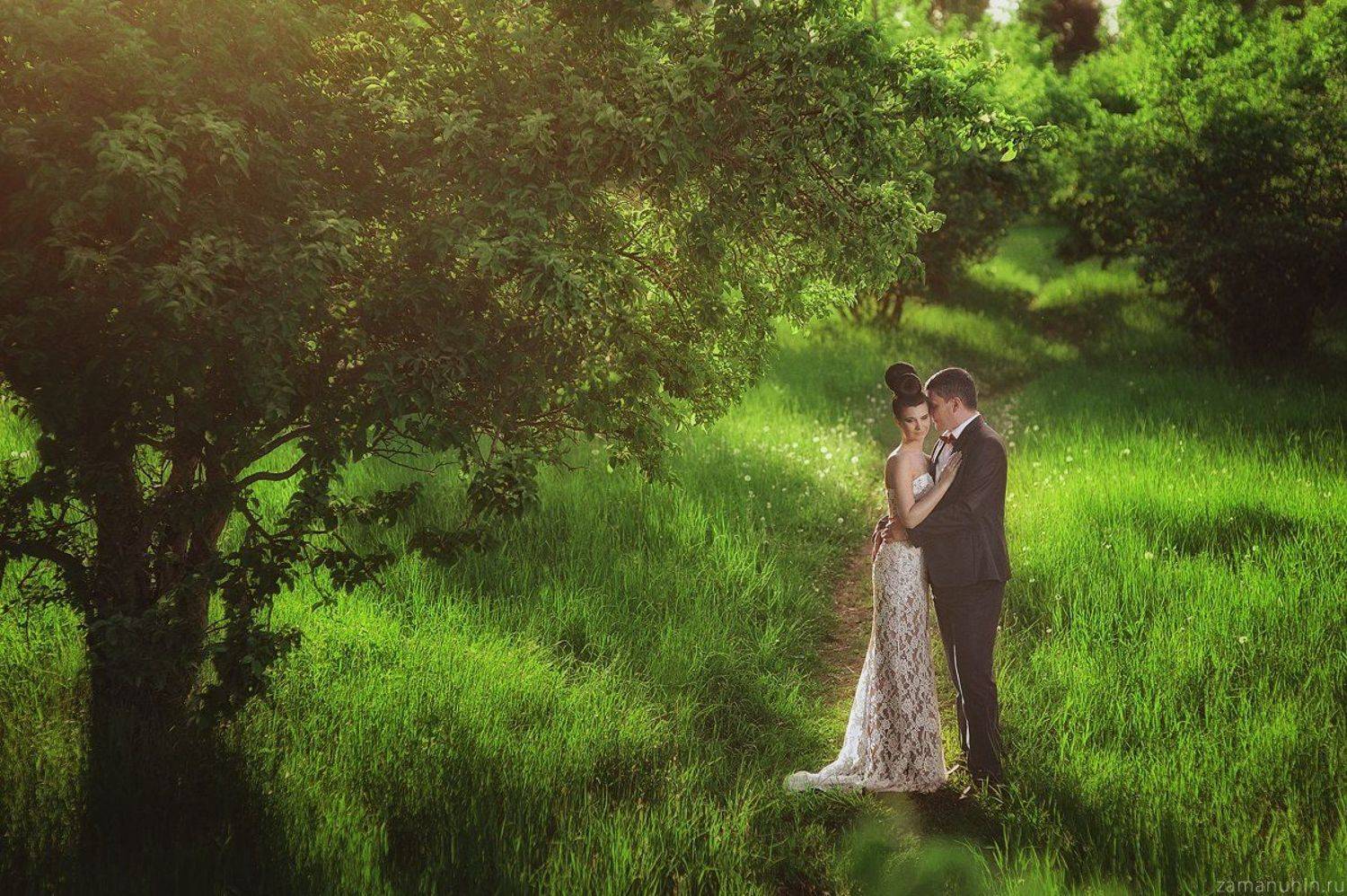 , Иван Заманухин