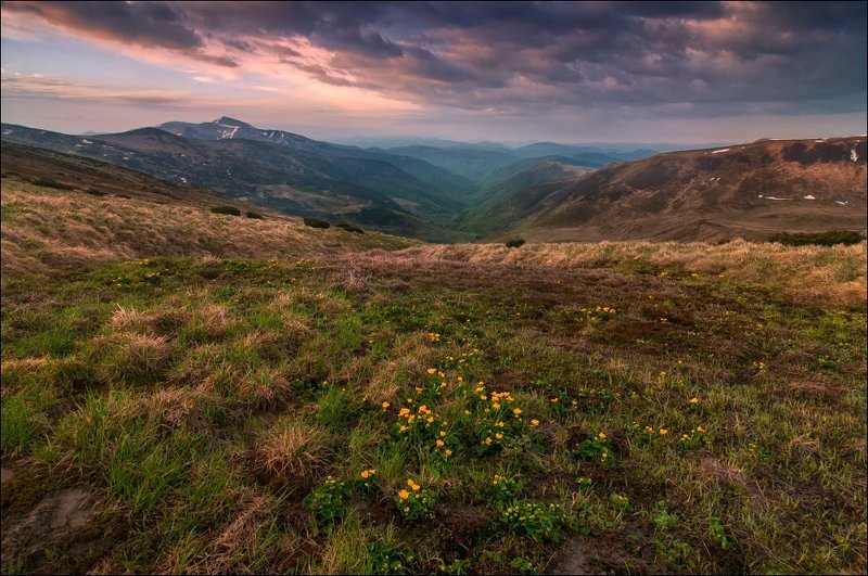 ... фото превью