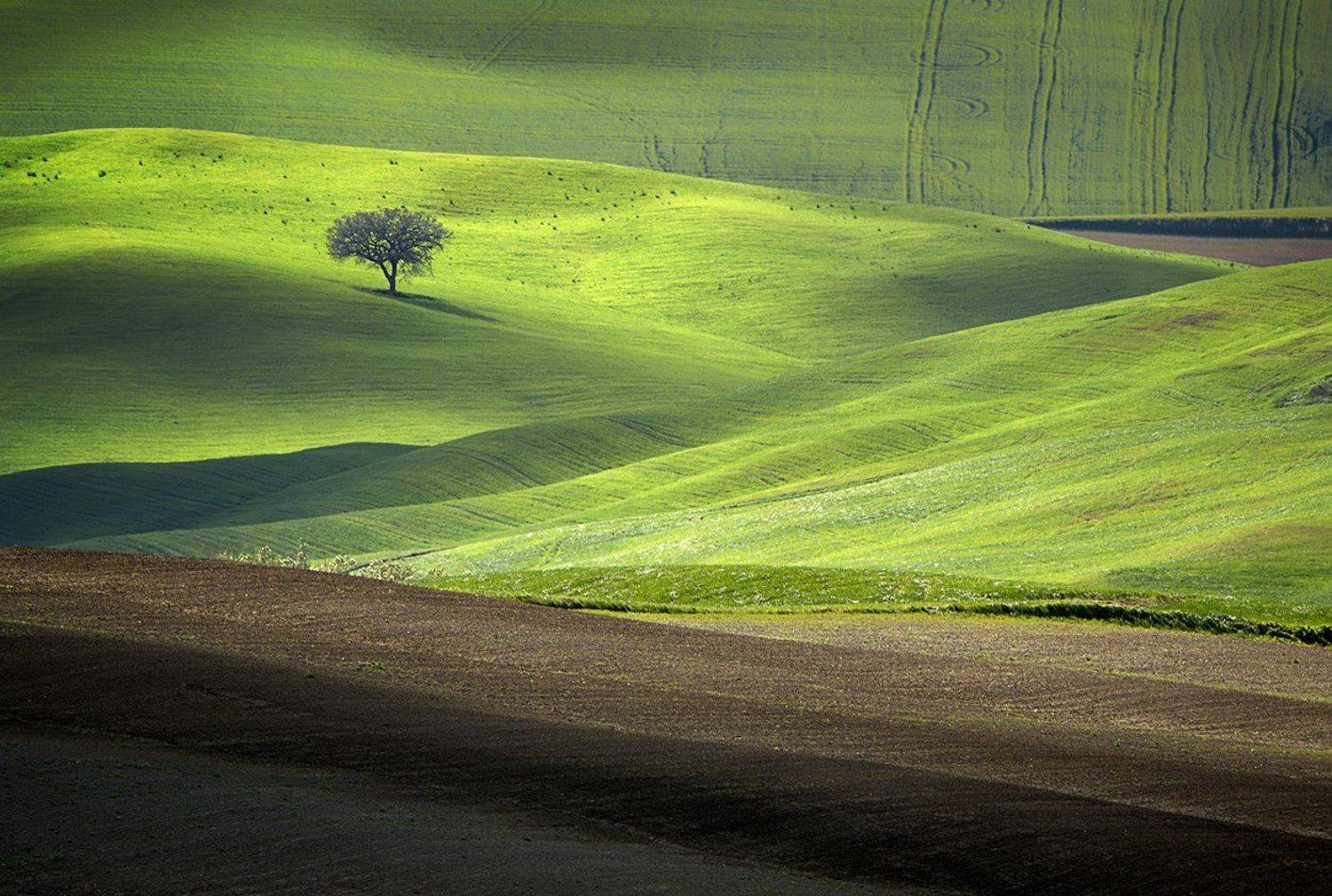 , Danny Vangenechten