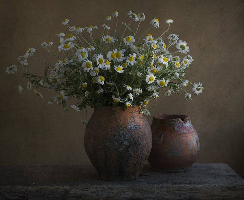 , Петрова Татьяна