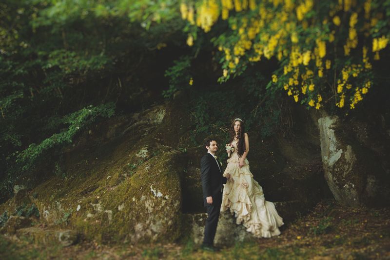 Forest фото превью