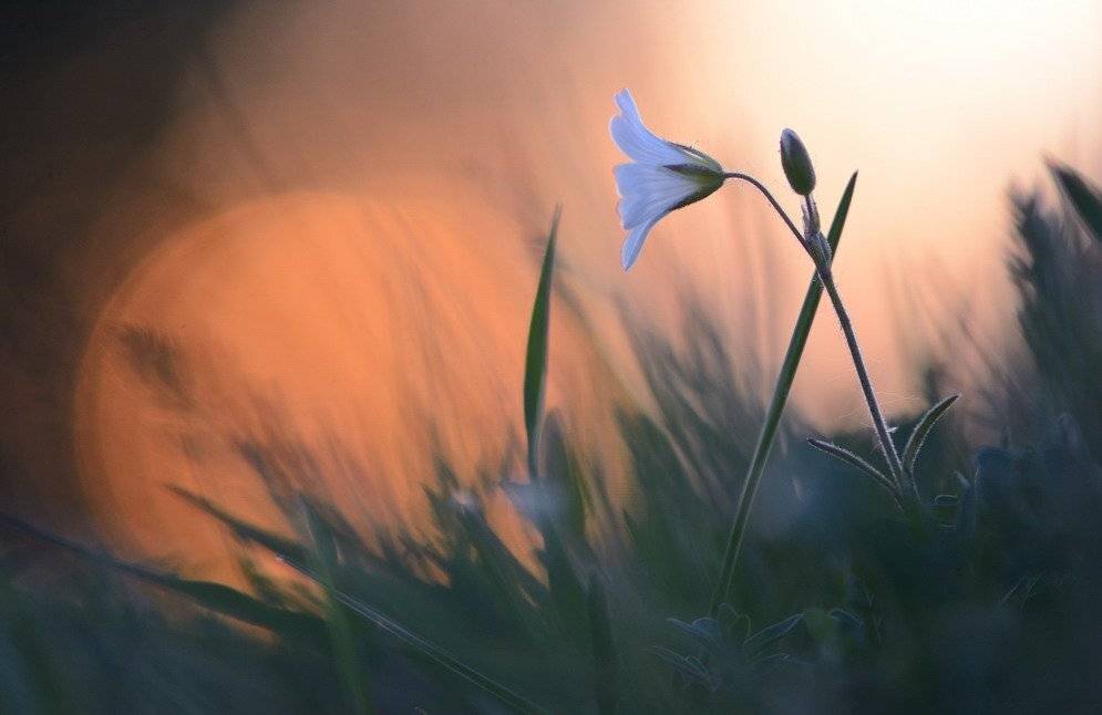 , Вячеслав Мищенко