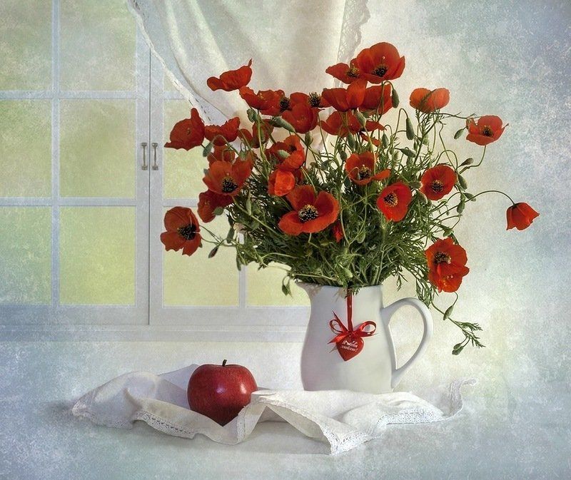 Весна, Май, Маки, Натюрморт, Цветы Красный май... фото превью