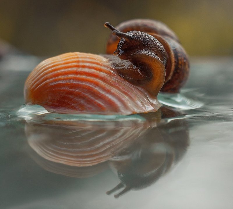 Изгибы фото превью