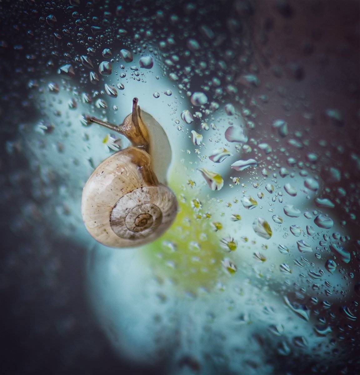 , Таня  Маркова