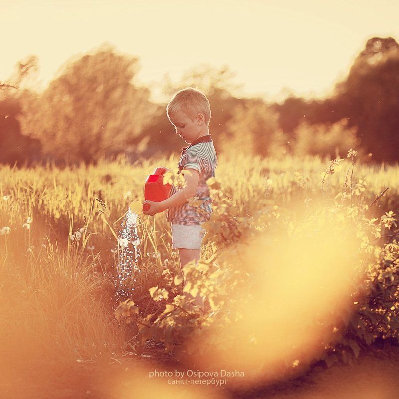 Солнышко фото превью