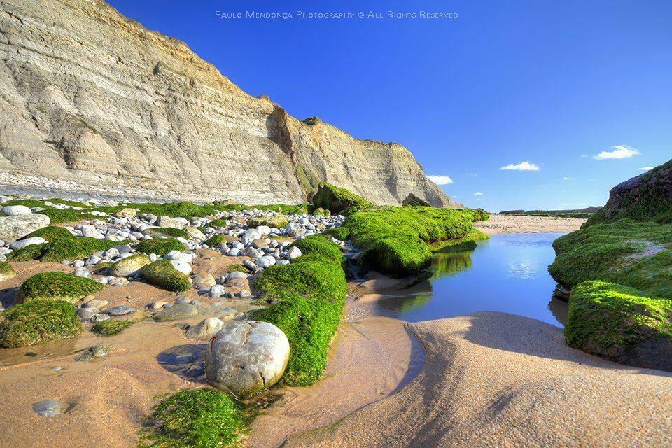 , Paulo Mendon&ccedil;a