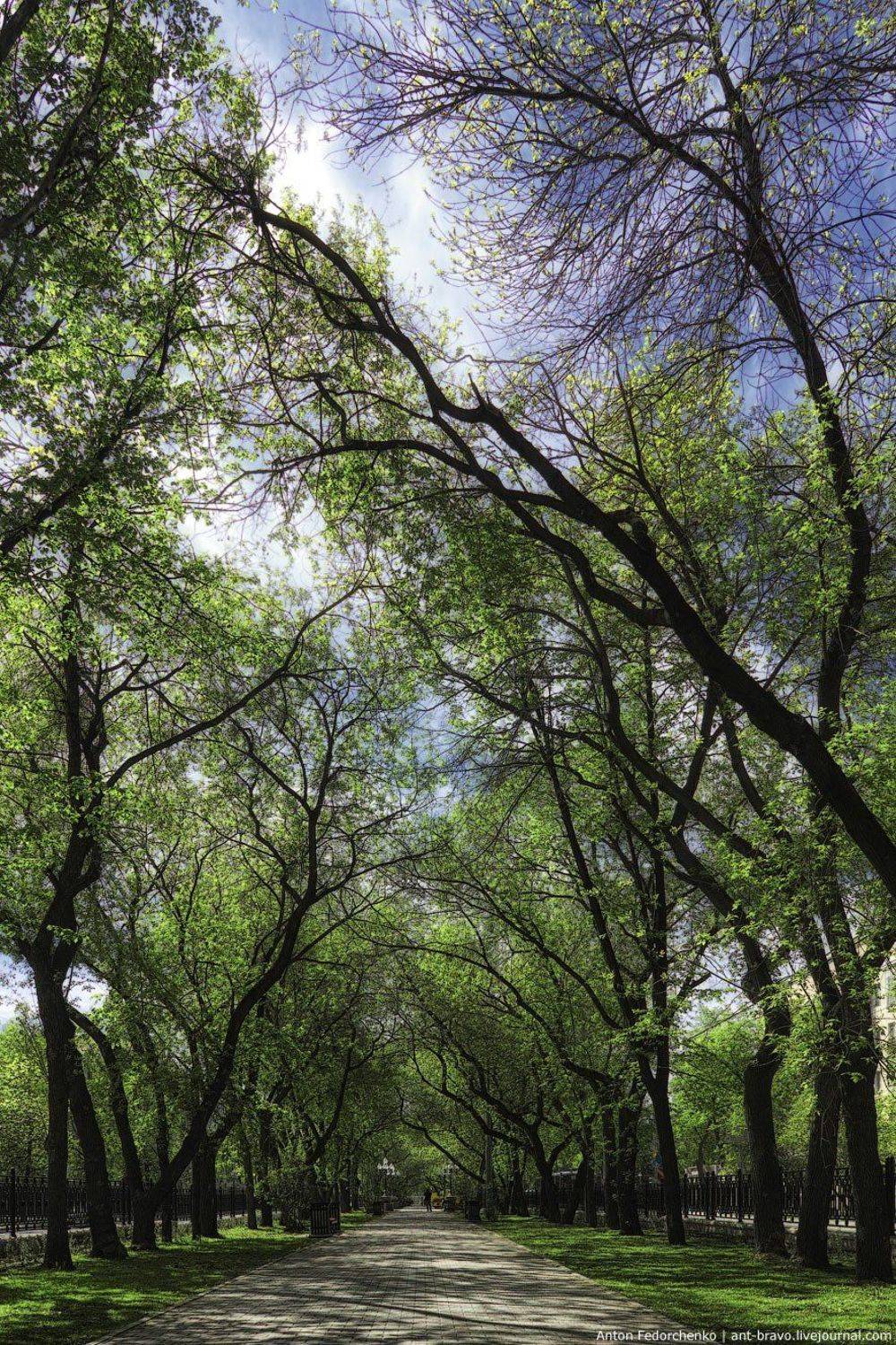 Аллея, Екатеринбург, Проспект, Антон Федорченко