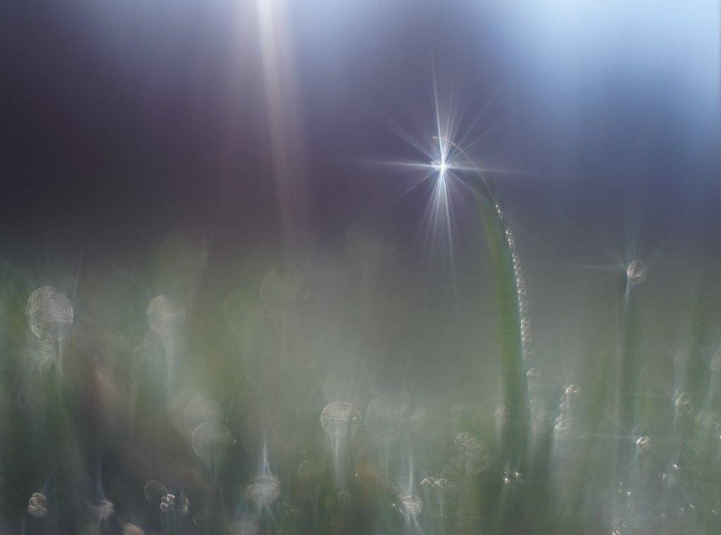 , Валерия Зверева