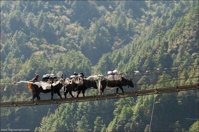 Яки фото превью