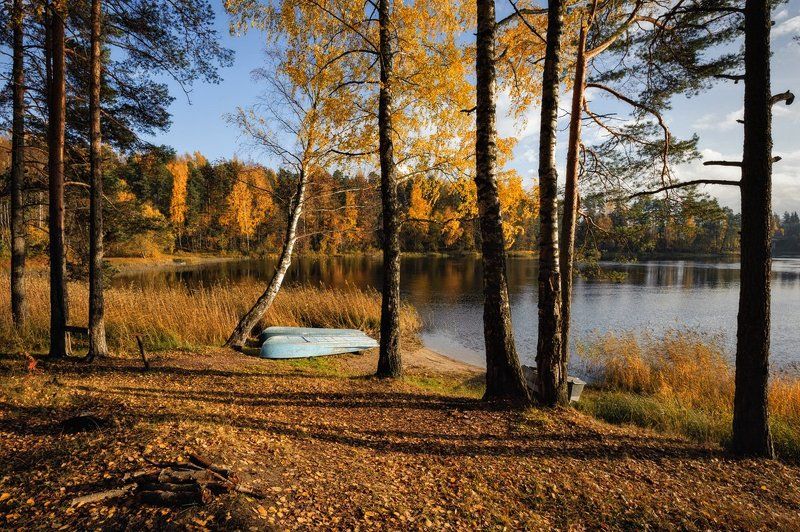 Осенняя классика фото превью