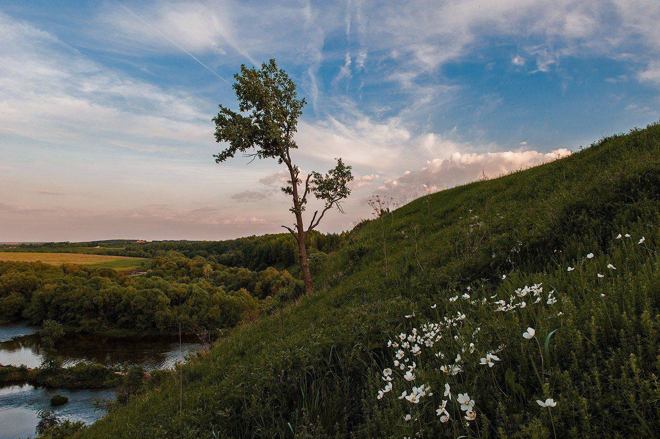 , Олег Логунов