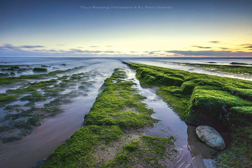 , Paulo Mendon&ccedil;a