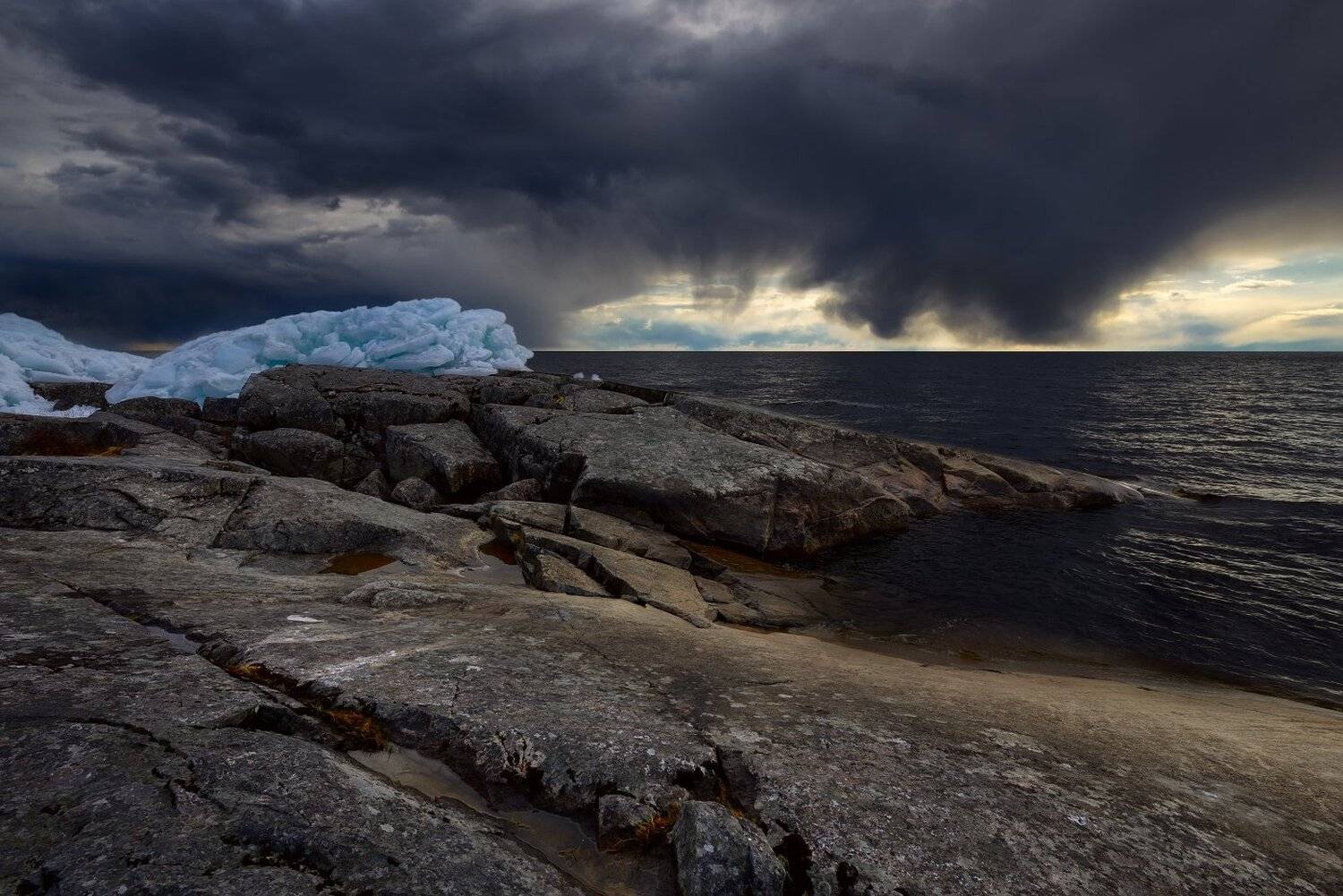 , Максим Евдокимов