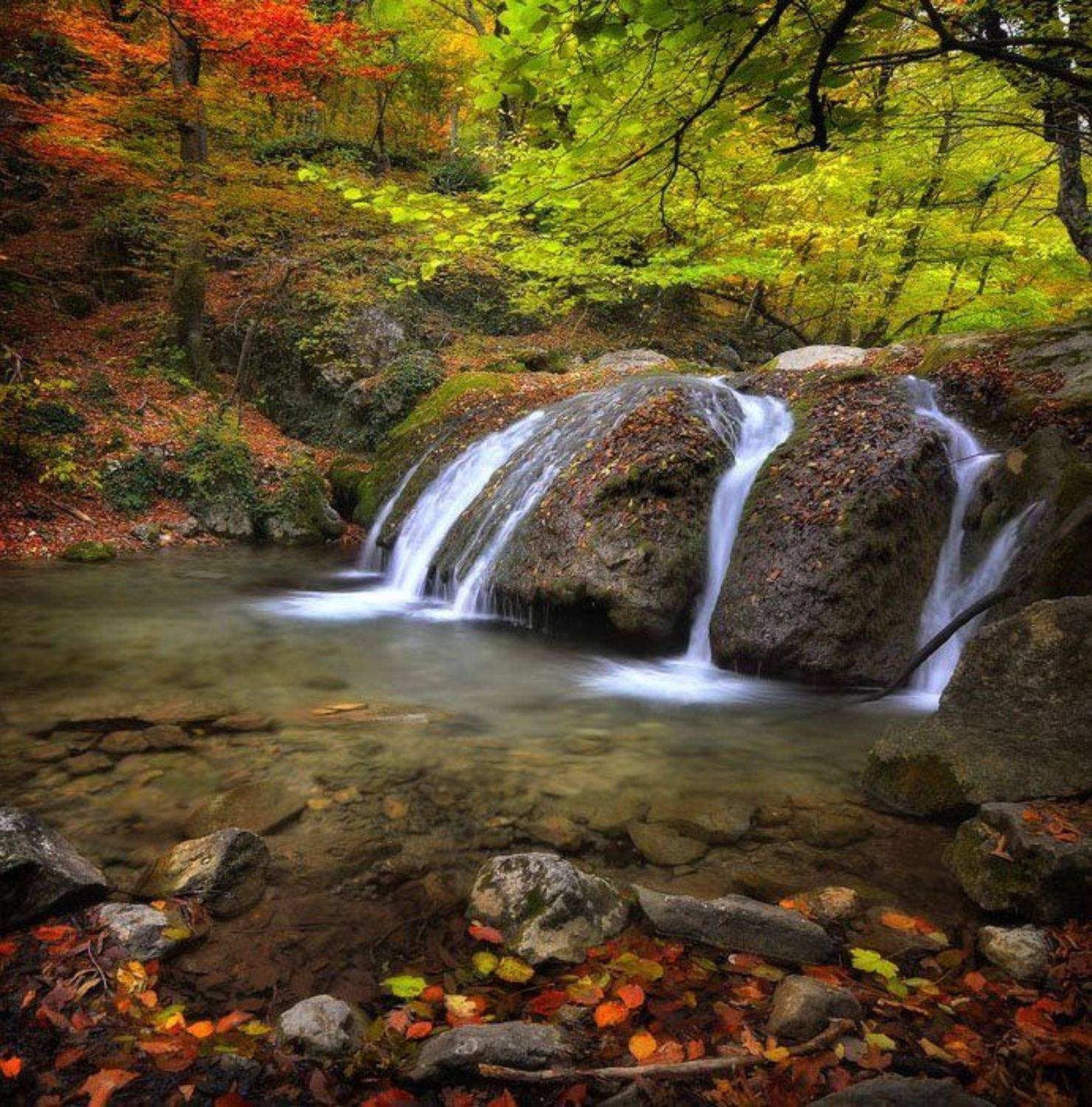 , Людмила Сиденко