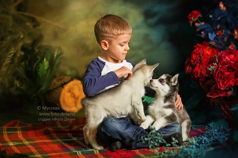 Собачья верность фото превью