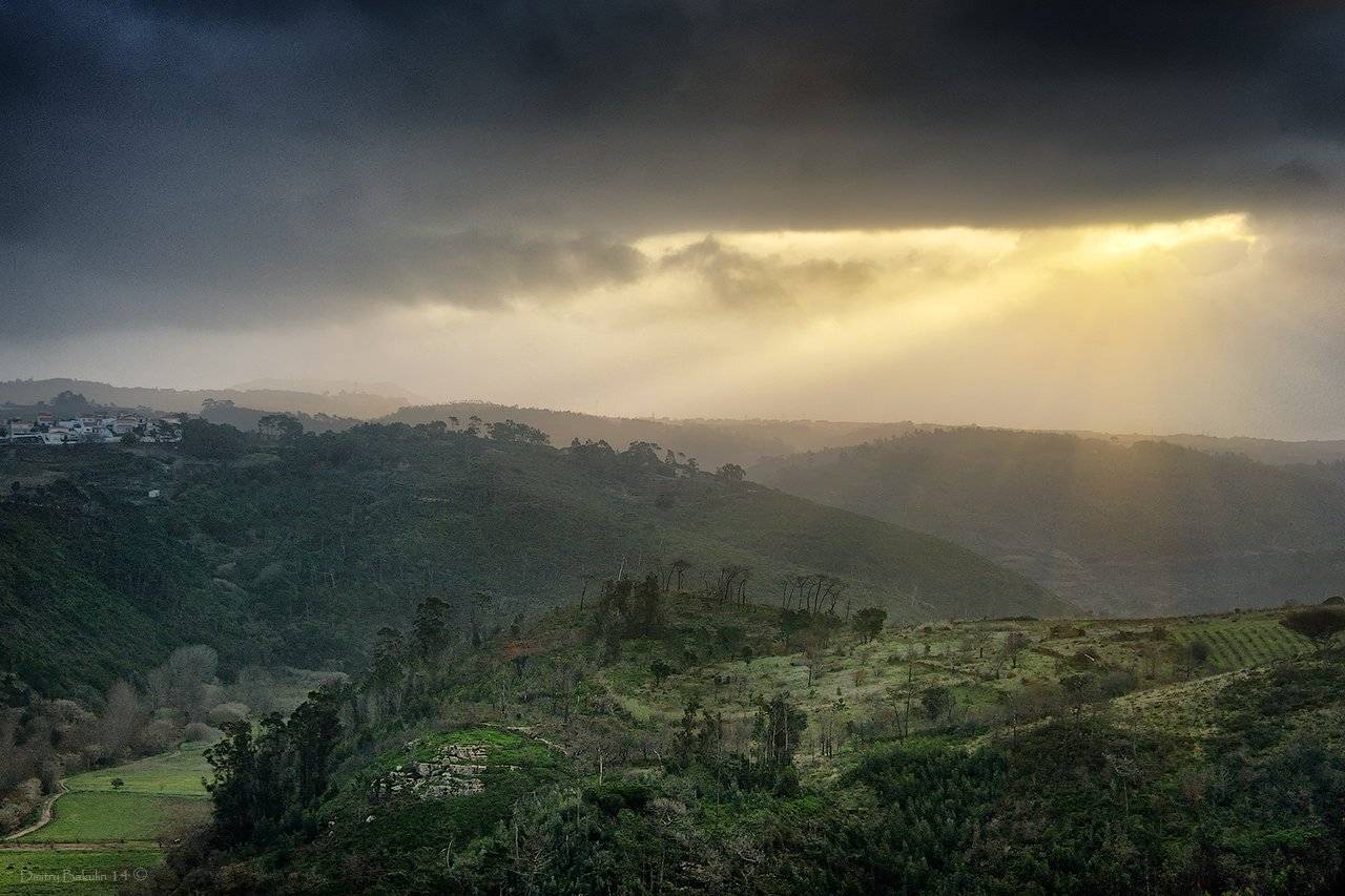 , Дмитрий Бакулин