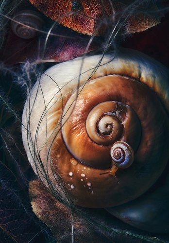 ещё один завиток