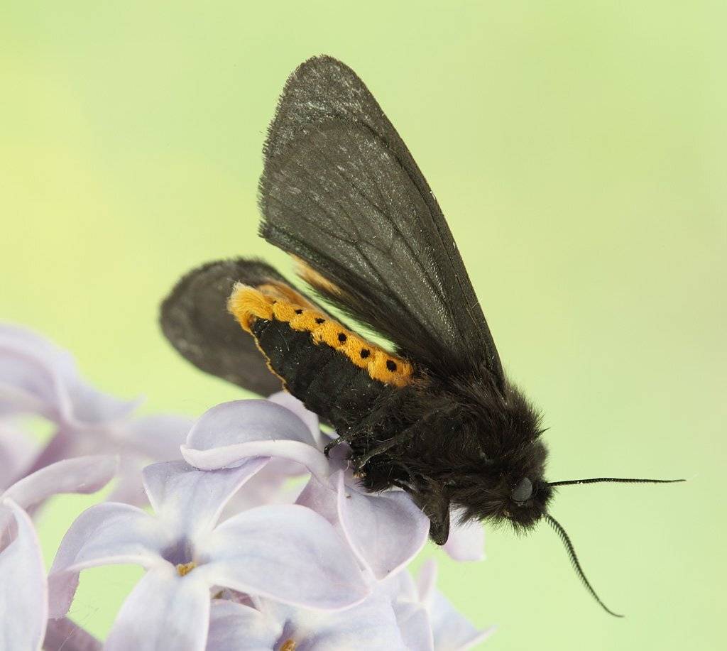 , Сергей Таланов