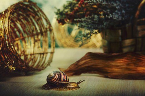 ползу куда хочу