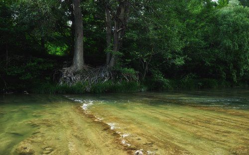 На лесном перекате...