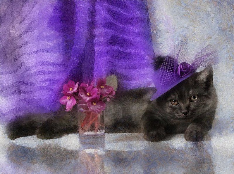 Про шляпки для леди фото превью