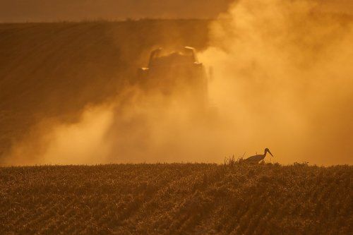 Polish landscapes