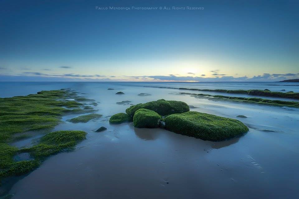 , Paulo Mendon&ccedil;a