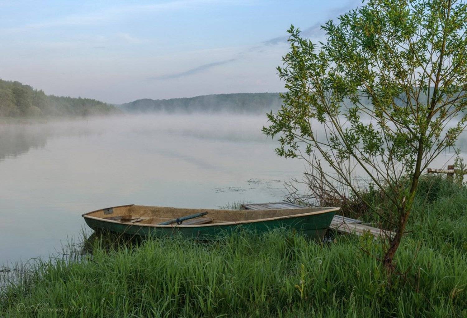 , Анатолий Зверев