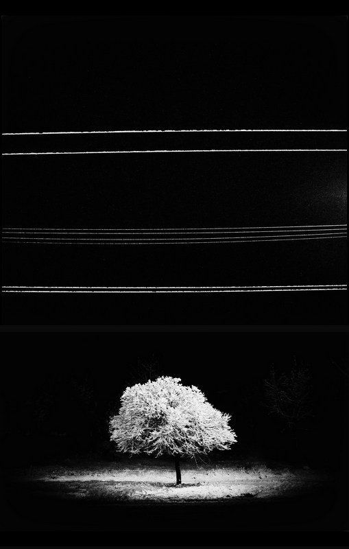 Neverwinter фото превью