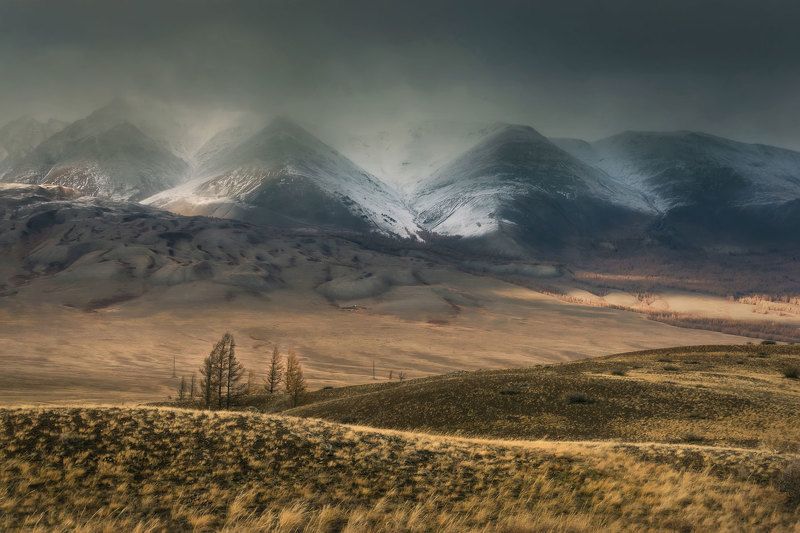 алтай, осень, золотая осень, горный алтай, осень на алтае, северо-чуйский хребет, altay Алтайские хроники фото превью