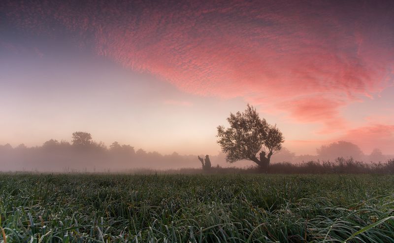 sunrise, fields, morning, mist, tree, abadoned, old, clouds, red, sky The dragon\'s breeze фото превью