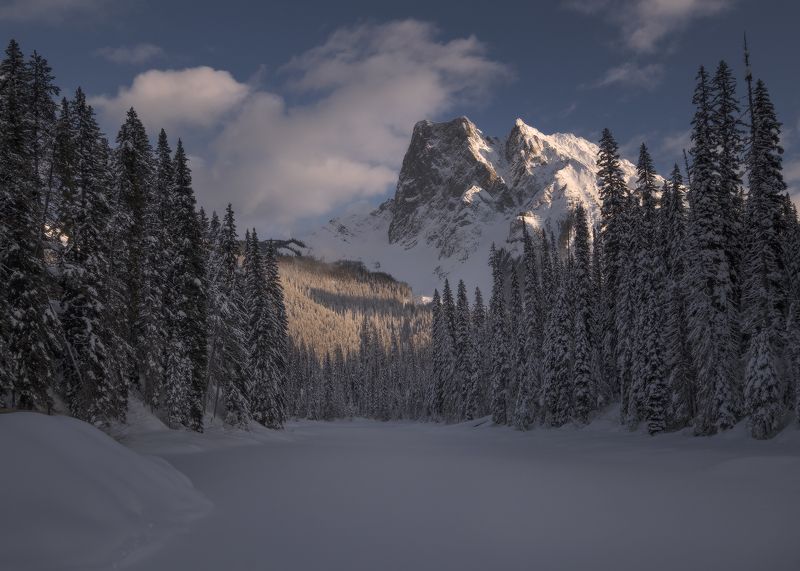 ЗИМА фото превью