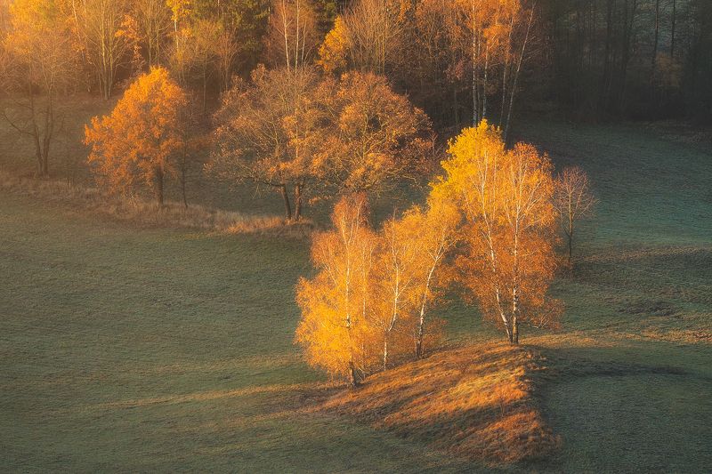 landscape,autumn,mountains,canon Touch of the Morning Sun II... фото превью