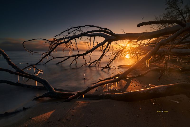 Sea stories, sea, water, Poland, landscape, trees, sunrise Sea stories фото превью