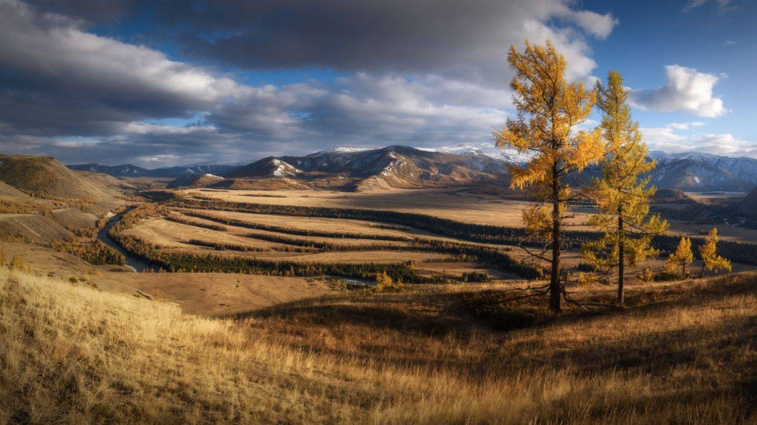 алтай, республика алтай, горный алтай, горы, кош-агачский район, горная степь, лиственницы, лиственница, степь, золотая осень, октябрь, altai mountains, Рубан Алена