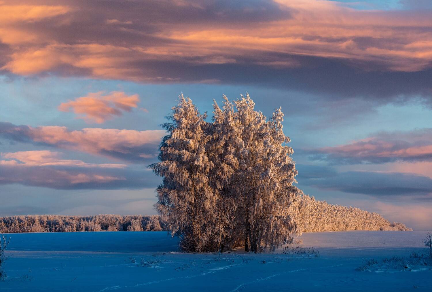 , Назаров Александр