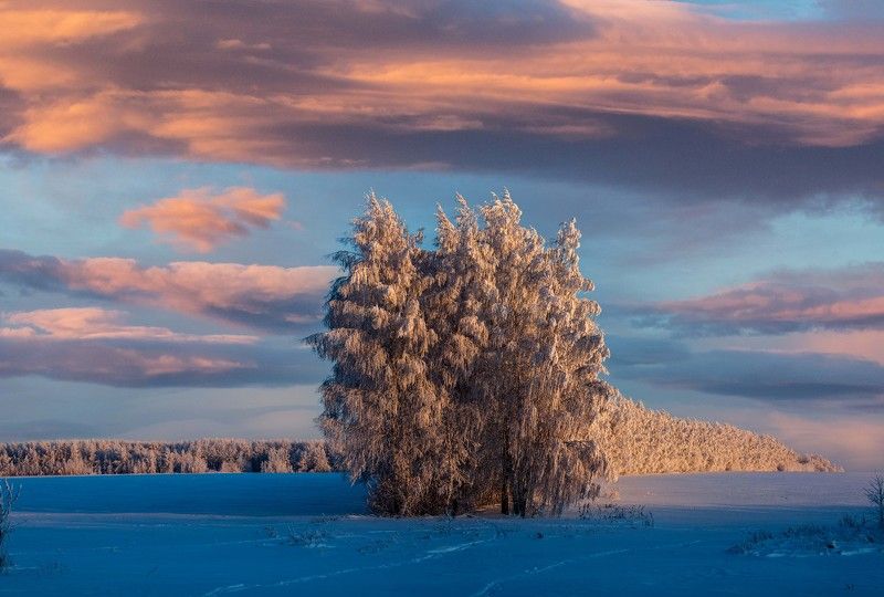 НА ЗАКАТЕ ДНЯ фото превью