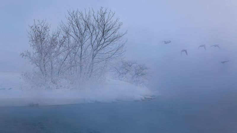 Утиная фотоохота... фото превью