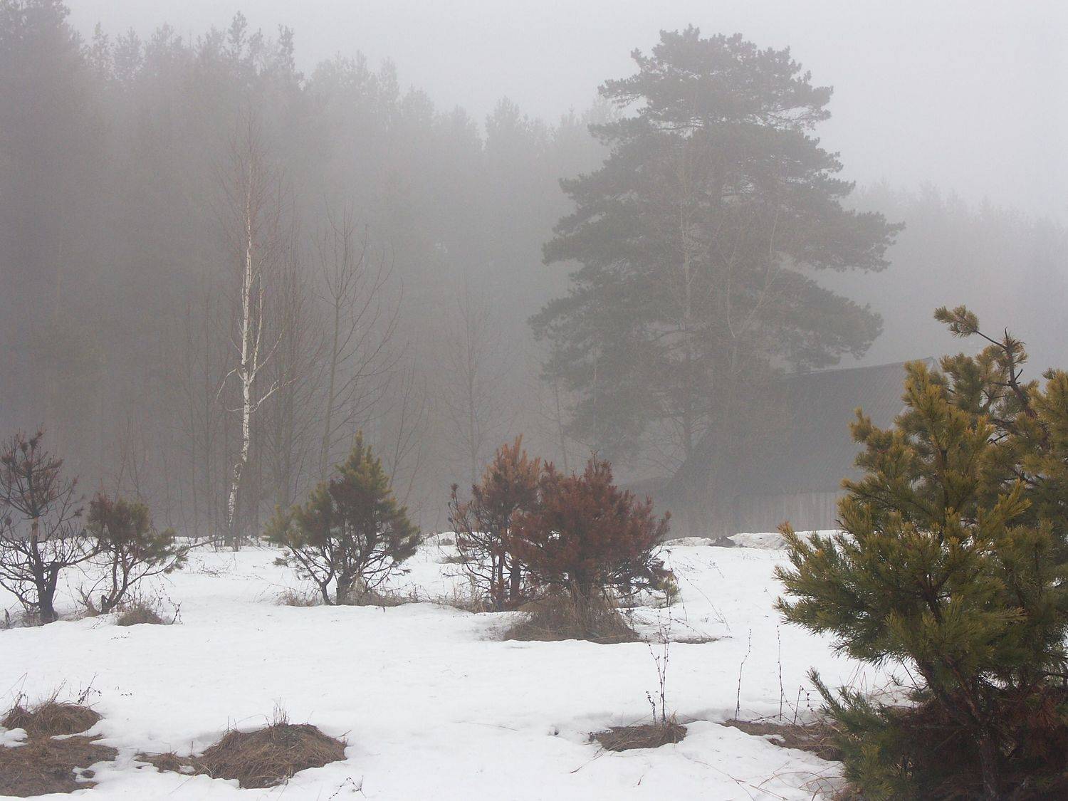 , Владимир Краснов