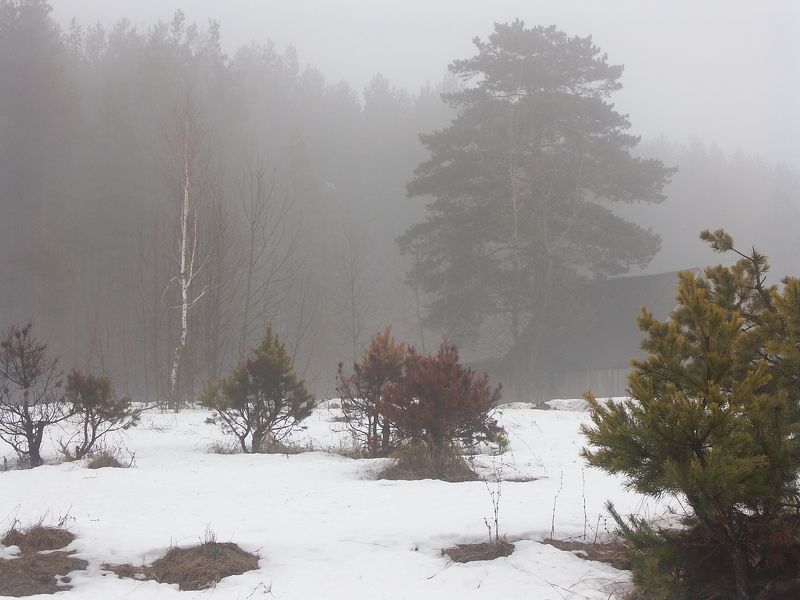 Февраль 2 фото превью