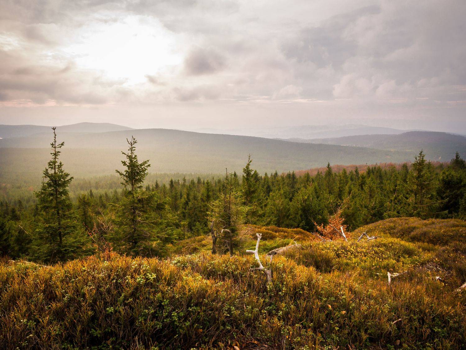 jizera,mountains,jizeramountains,czech,czechia,czech nature,nature,landscape,sunrise,sun,rocks, Slavom&iacute;r Gajdo&scaron;