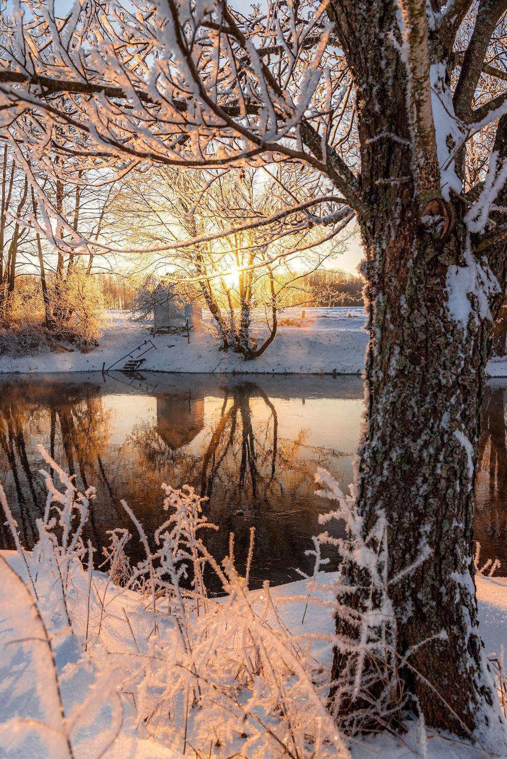 , Руслан Авдевич