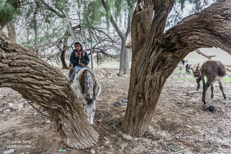 The Bedouin Child Project фото превью