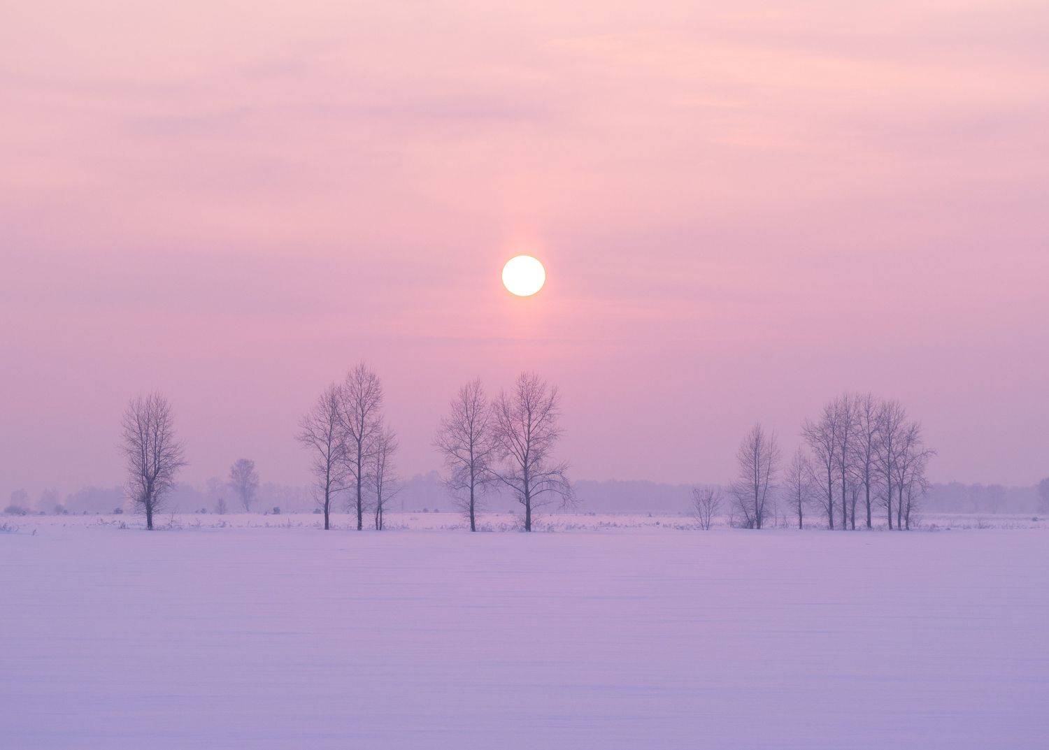 , Андрей Хаймин